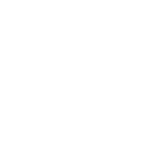 Realleader_