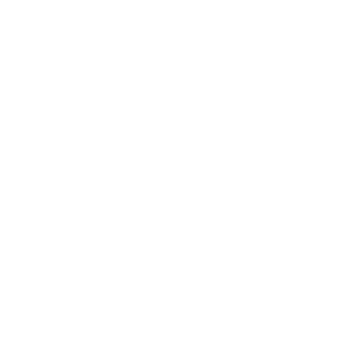 Star Trac